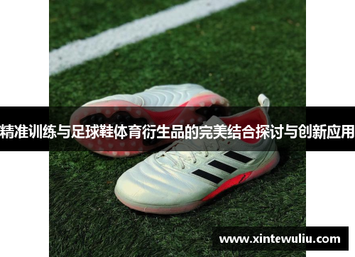 精准训练与足球鞋体育衍生品的完美结合探讨与创新应用 精准训练与足球鞋体育衍生品的完美结合探讨与创新应用