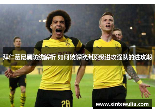 拜仁慕尼黑防线解析 如何破解欧洲顶级进攻强队的进攻潮 拜仁慕尼黑防线解析 如何破解欧洲顶级进攻强队的进攻潮
