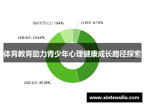 体育教育助力青少年心理健康成长路径探索 体育教育助力青少年心理健康成长路径探索