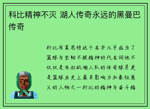 科比精神不灭 湖人传奇永远的黑曼巴传奇 科比精神不灭 湖人传奇永远的黑曼巴传奇