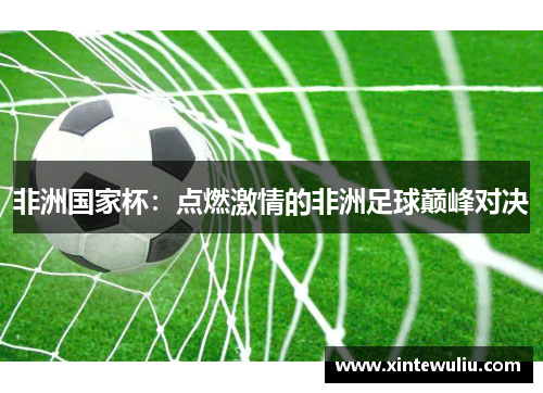 非洲国家杯:点燃激情的非洲足球巅峰对决 非洲国家杯:点燃激情的非洲足球巅峰对决