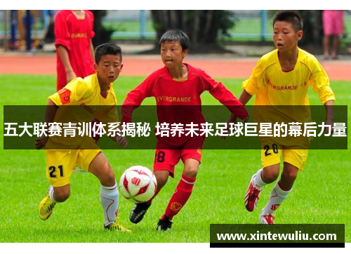 五大联赛青训体系揭秘 培养未来足球巨星的幕后力量 五大联赛青训体系揭秘 培养未来足球巨星的幕后力量